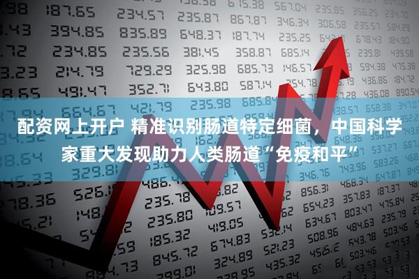 配资网上开户 精准识别肠道特定细菌，中国科学家重大发现助力人类肠道“免疫和平”
