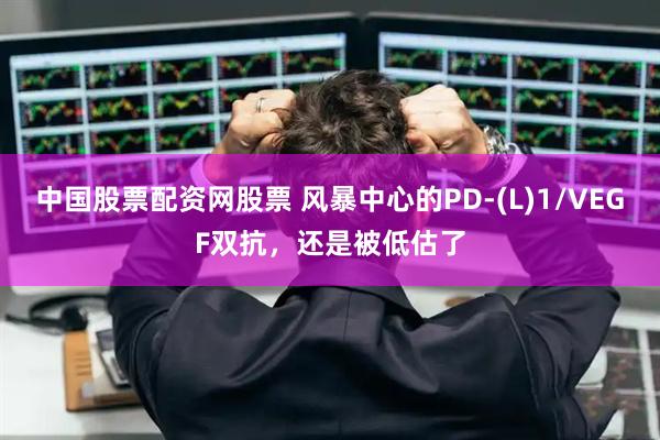 中国股票配资网股票 风暴中心的PD-(L)1/VEGF双抗，还是被低估了